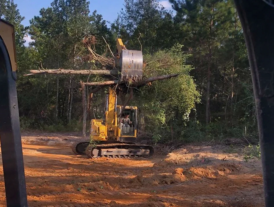 Residential Lot Clearing in Mobile, AL
